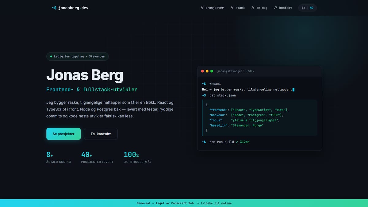 Developer portfolio website template